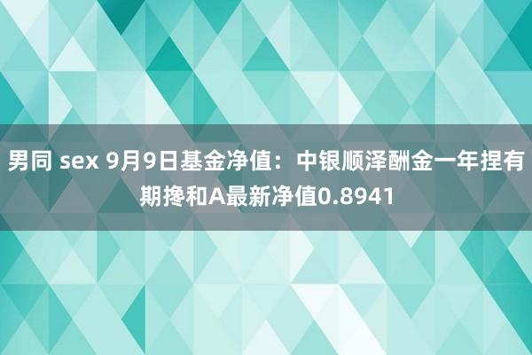 男同 sex 9月9日基金净值：中银顺泽酬金一年捏有期搀和A最新净值0.8941