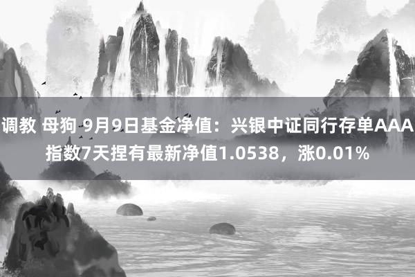 调教 母狗 9月9日基金净值：兴银中证同行存单AAA指数7天捏有最新净值1.0538，涨0.01%