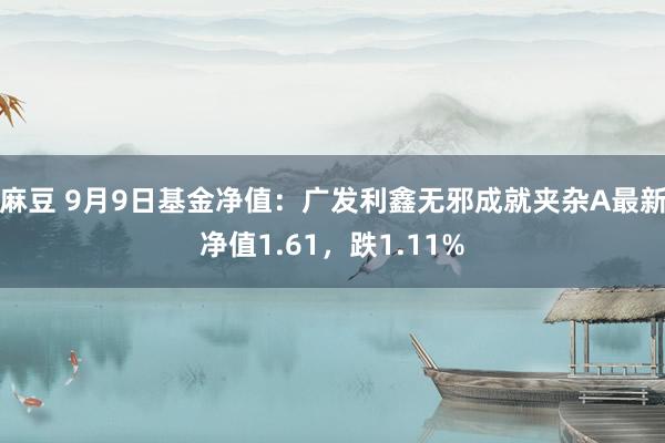 麻豆 9月9日基金净值：广发利鑫无邪成就夹杂A最新净值1.61，跌1.11%