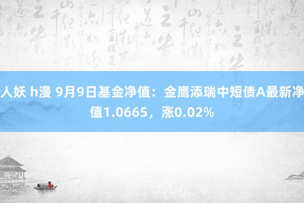 人妖 h漫 9月9日基金净值：金鹰添瑞中短债A最新净值1.0665，涨0.02%