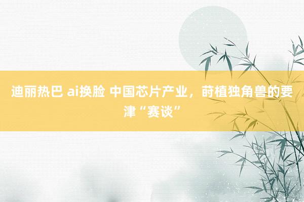 迪丽热巴 ai换脸 中国芯片产业，莳植独角兽的要津“赛谈”