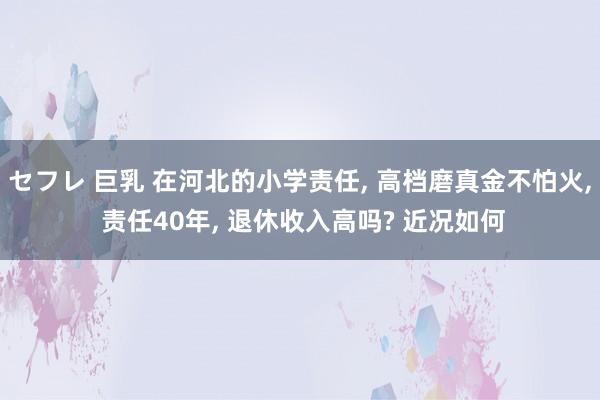 セフレ 巨乳 在河北的小学责任， 高档磨真金不怕火， 责任40年， 退休收入高吗? 近况如何