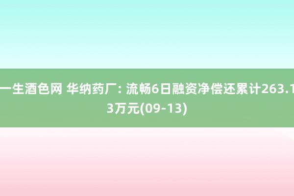 一生酒色网 华纳药厂: 流畅6日融资净偿还累计263.13万元(09-13)