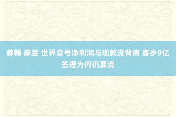 蘇暢 麻豆 世界壹号净利润与现款流背离 客岁9亿答理为何仍募资