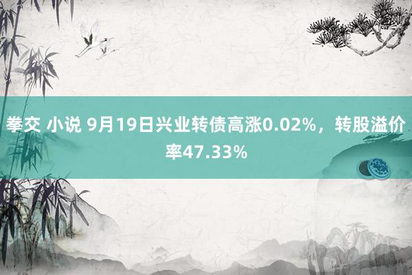 拳交 小说 9月19日兴业转债高涨0.02%，转股溢价率47.33%