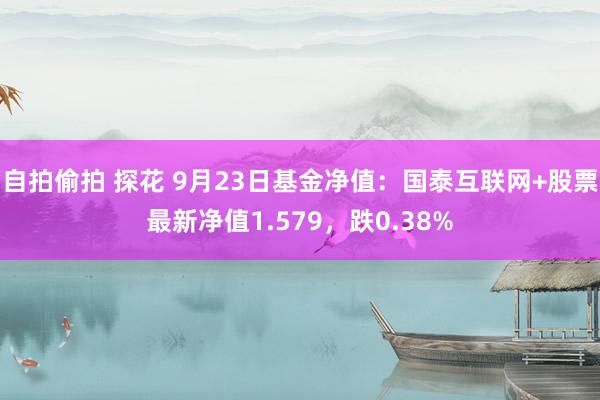 自拍偷拍 探花 9月23日基金净值：国泰互联网+股票最新净值1.579，跌0.38%