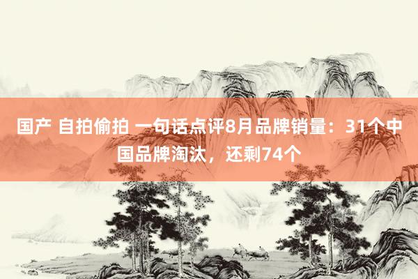 国产 自拍偷拍 一句话点评8月品牌销量：31个中国品牌淘汰，还剩74个