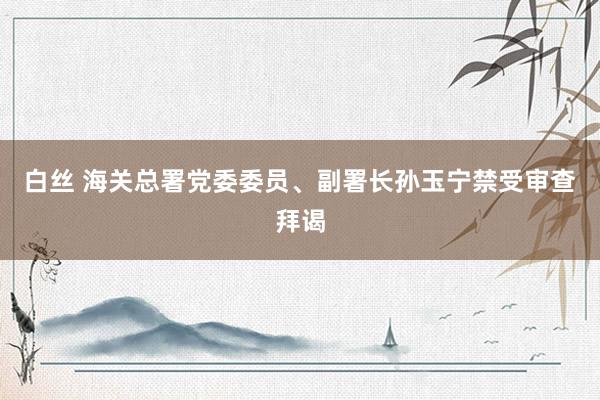 白丝 海关总署党委委员、副署长孙玉宁禁受审查拜谒