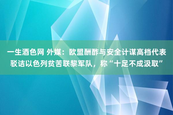 一生酒色网 外媒：欧盟酬酢与安全计谋高档代表驳诘以色列贫苦联黎军队，称“十足不成汲取”