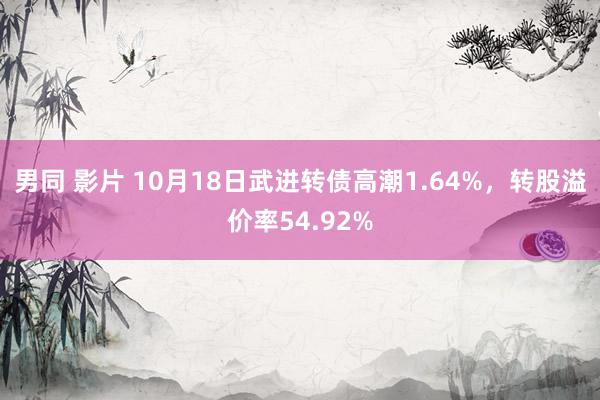 男同 影片 10月18日武进转债高潮1.64%，转股溢价率54.92%