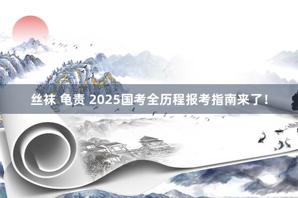 丝袜 龟责 2025国考全历程报考指南来了！