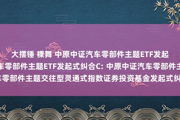 大摆锤 裸舞 中原中证汽车零部件主题ETF发起式纠合A，中原中证汽车零部件主题ETF发起式纠合C: 中原中证汽车零部件主题交往型灵通式指数证券投资基金发起式纠合基金招募说明书