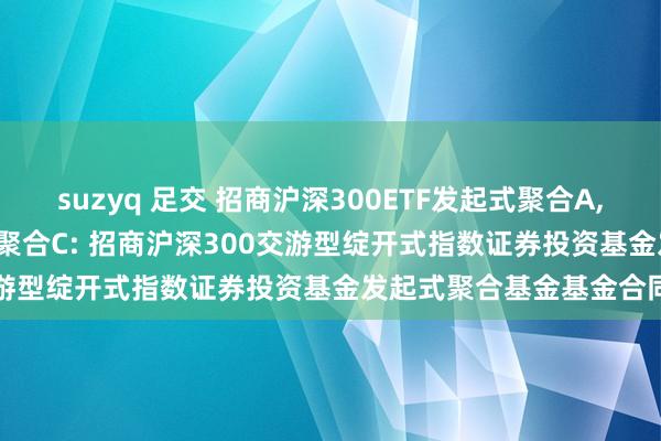 suzyq 足交 招商沪深300ETF发起式聚合A，招商沪深300ETF发起式聚合C: 招商沪深300交游型绽开式指数证券投资基金发起式聚合基金基金合同