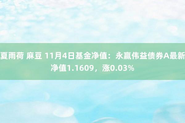 夏雨荷 麻豆 11月4日基金净值：永赢伟益债券A最新净值1.1609，涨0.03%