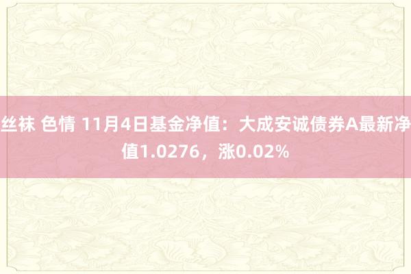 丝袜 色情 11月4日基金净值：大成安诚债券A最新净值1.0276，涨0.02%