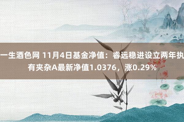 一生酒色网 11月4日基金净值：睿远稳进设立两年执有夹杂A最新净值1.0376，涨0.29%