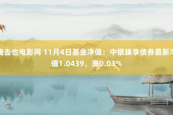 俺去也电影网 11月4日基金净值：中银臻享债券最新净值1.0439，涨0.03%