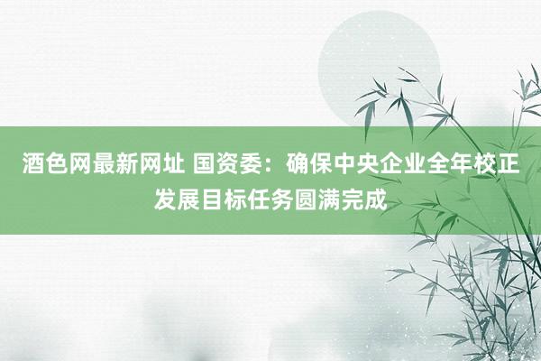 酒色网最新网址 国资委：确保中央企业全年校正发展目标任务圆满完成