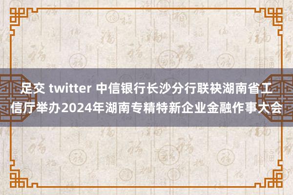 足交 twitter 中信银行长沙分行联袂湖南省工信厅举办2024年湖南专精特新企业金融作事大会