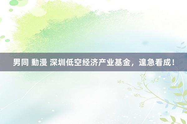 男同 動漫 深圳低空经济产业基金，遑急看成！