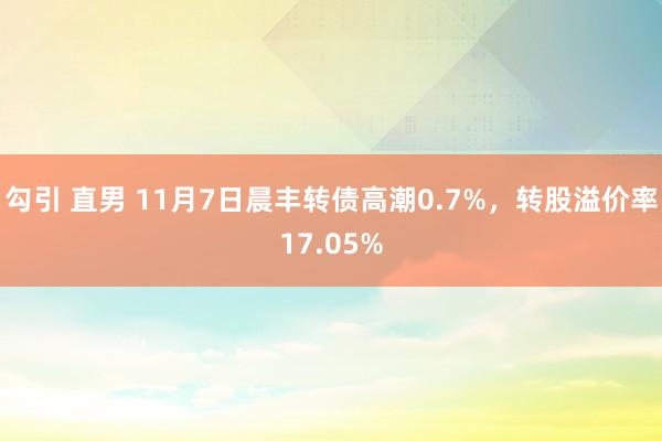 勾引 直男 11月7日晨丰转债高潮0.7%，转股溢价率17.05%