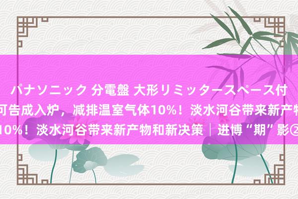 パナソニック 分電盤 大形リミッタースペース付 露出・半埋込両用形 可告成入炉，减排温室气体10%！淡水河谷带来新产物和新决策│进博“期”影②