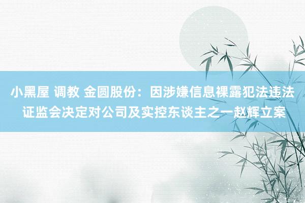 小黑屋 调教 金圆股份：因涉嫌信息裸露犯法违法 证监会决定对公司及实控东谈主之一赵辉立案