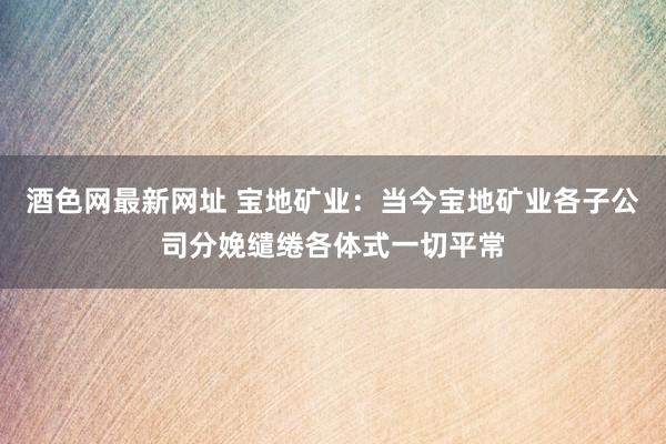 酒色网最新网址 宝地矿业：当今宝地矿业各子公司分娩缱绻各体式一切平常