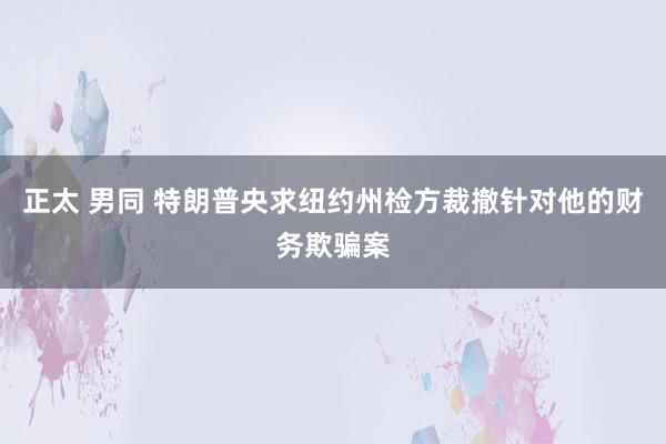 正太 男同 特朗普央求纽约州检方裁撤针对他的财务欺骗案