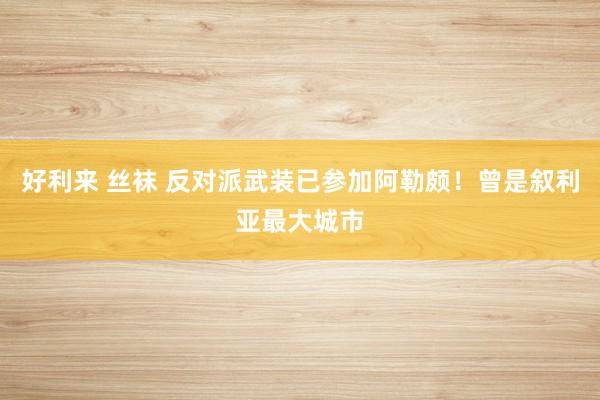 好利来 丝袜 反对派武装已参加阿勒颇！曾是叙利亚最大城市