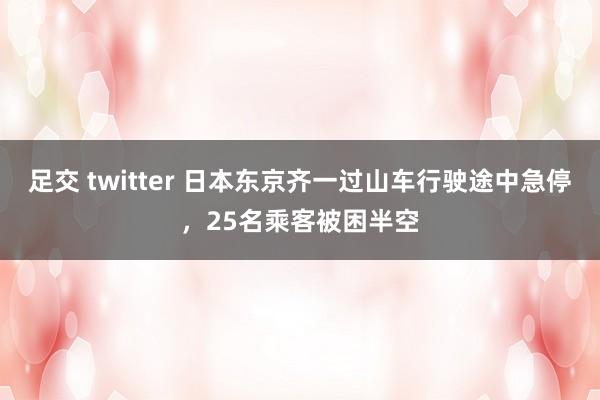 足交 twitter 日本东京齐一过山车行驶途中急停，25名乘客被困半空