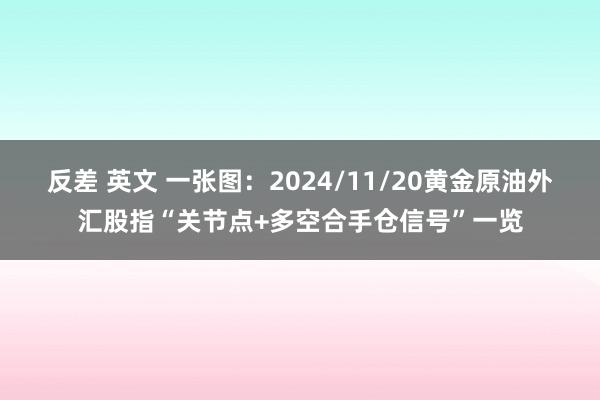 反差 英文 一张图：2024/11/20黄金原油外汇股指“关节点+多空合手仓信号”一览