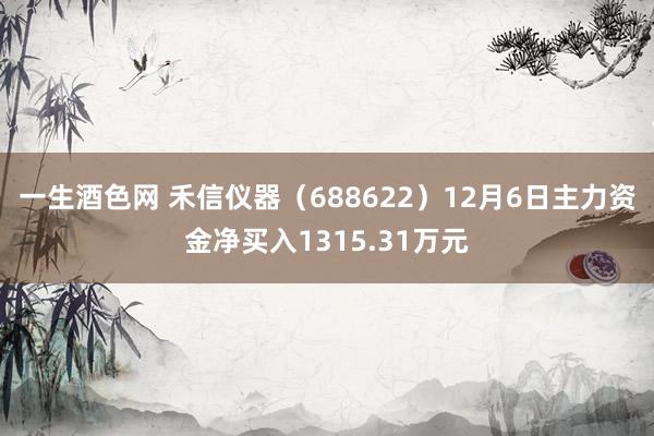 一生酒色网 禾信仪器（688622）12月6日主力资金净买入1315.31万元