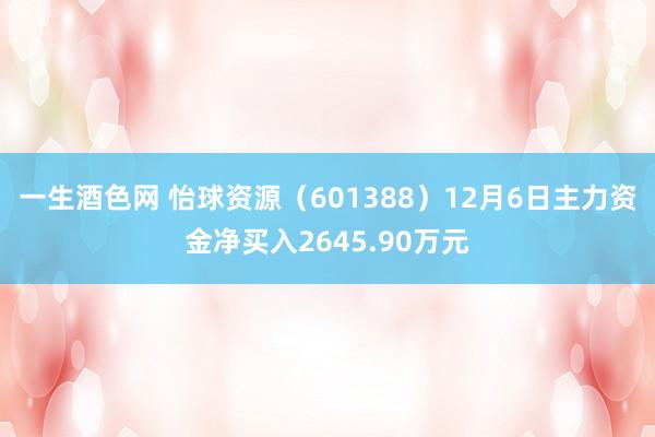 一生酒色网 怡球资源（601388）12月6日主力资金净买入2645.90万元