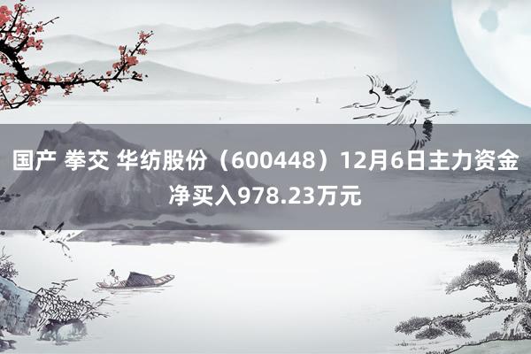 国产 拳交 华纺股份（600448）12月6日主力资金净买入978.23万元