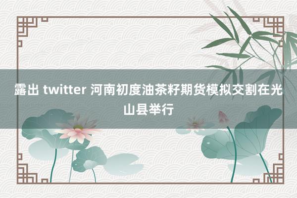 露出 twitter 河南初度油茶籽期货模拟交割在光山县举行