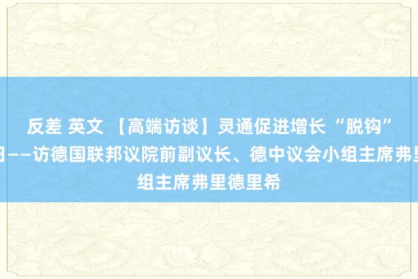 反差 英文 【高端访谈】灵通促进增长 “脱钩”危及异日——访德国联邦议院前副议长、德中议会小组主席弗里德里希