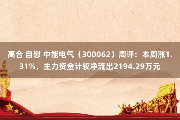 高合 自慰 中能电气（300062）周评：本周涨1.31%，主力资金计较净流出2194.29万元