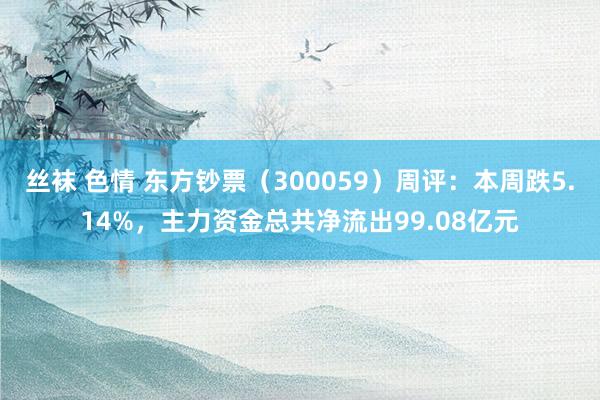 丝袜 色情 东方钞票（300059）周评：本周跌5.14%，主力资金总共净流出99.08亿元