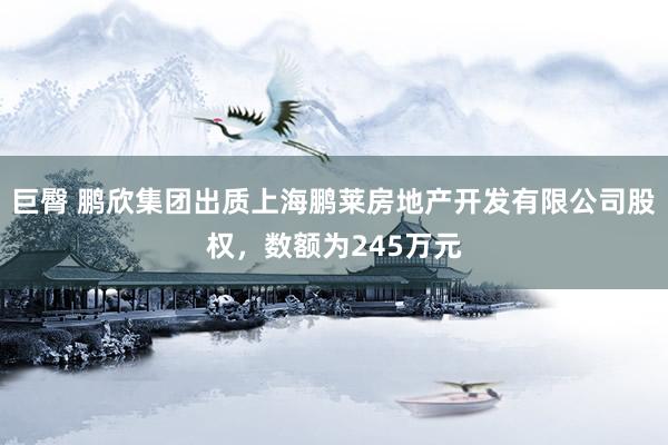 巨臀 鹏欣集团出质上海鹏莱房地产开发有限公司股权，数额为245万元