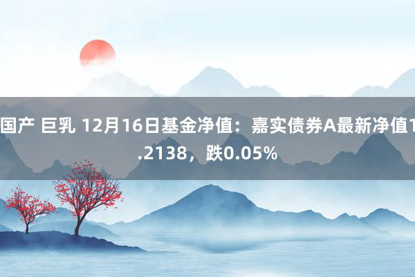 国产 巨乳 12月16日基金净值：嘉实债券A最新净值1.2138，跌0.05%