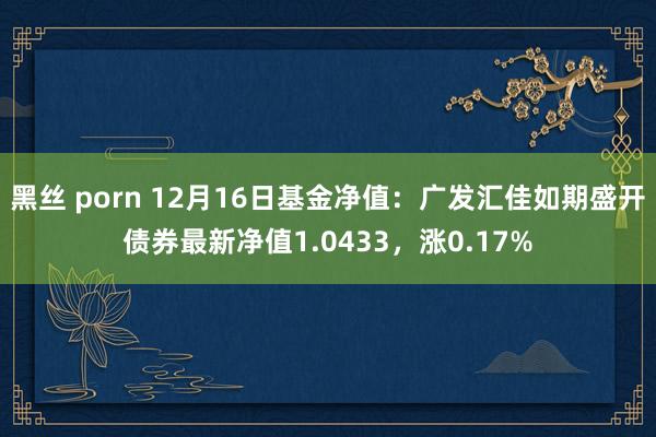 黑丝 porn 12月16日基金净值：广发汇佳如期盛开债券最新净值1.0433，涨0.17%