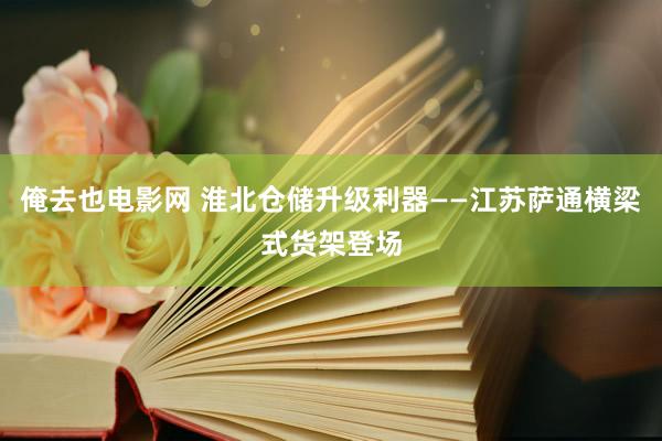 俺去也电影网 淮北仓储升级利器——江苏萨通横梁式货架登场