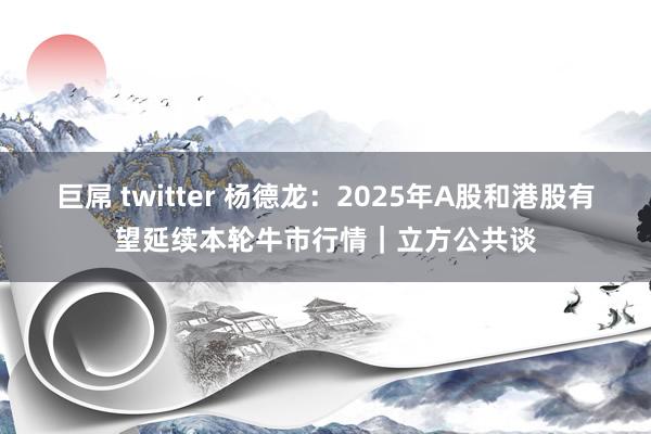 巨屌 twitter 杨德龙：2025年A股和港股有望延续本轮牛市行情｜立方公共谈