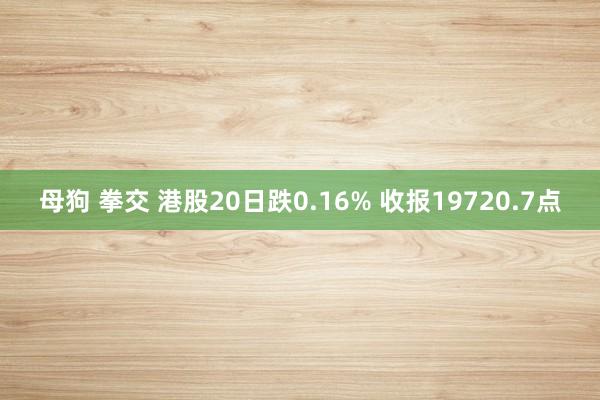 母狗 拳交 港股20日跌0.16% 收报19720.7点