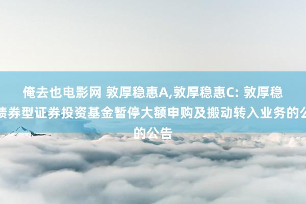 俺去也电影网 敦厚稳惠A，敦厚稳惠C: 敦厚稳惠债券型证券投资基金暂停大额申购及搬动转入业务的公告