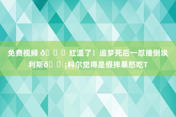 免费视频 💀红温了！追梦死后一怼撞倒埃利斯😡科尔觉得是假摔暴怒吃T