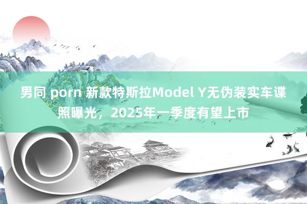 男同 porn 新款特斯拉Model Y无伪装实车谍照曝光，2025年一季度有望上市