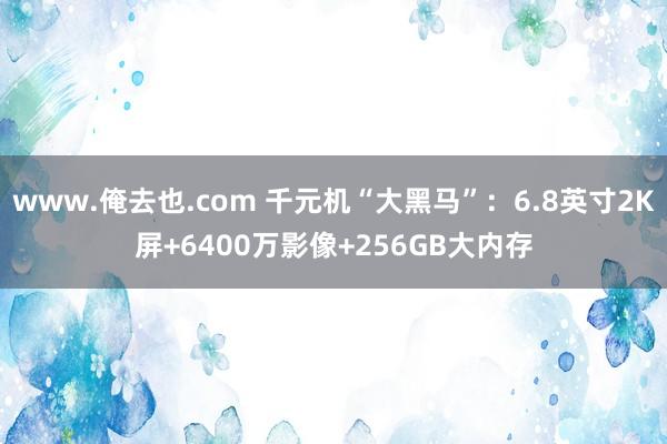 www.俺去也.com 千元机“大黑马”：6.8英寸2K屏+6400万影像+256GB大内存