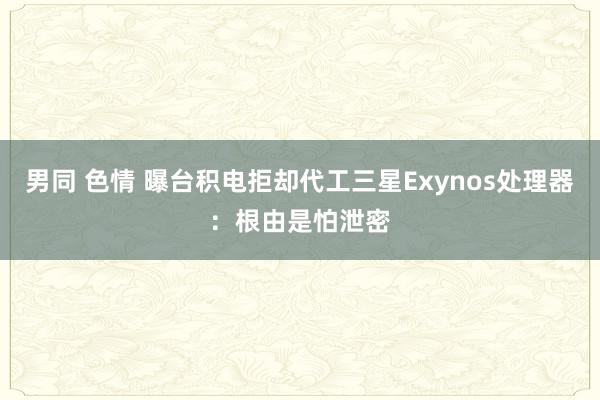 男同 色情 曝台积电拒却代工三星Exynos处理器：根由是怕泄密